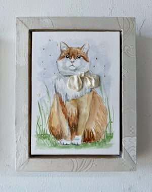 White Silk Kitty