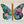 Morning Glories