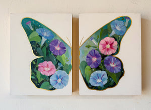 Morning Glories