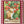 Cherry Tomatoes