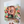 Grocery Run Print