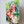 Tomato Bunny Print
