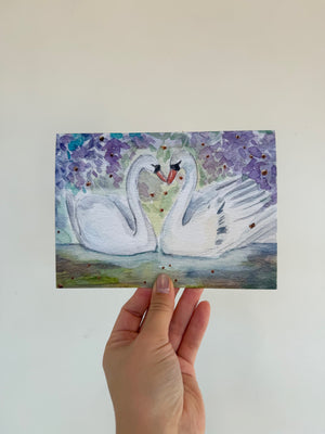 Swans Printed Card
