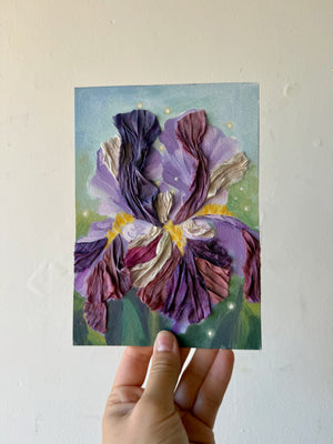 Iris Study