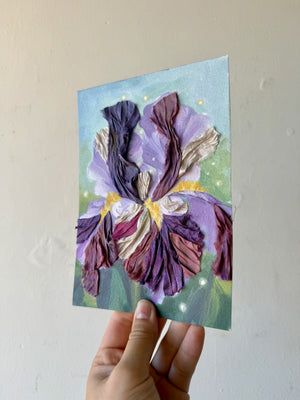 Iris Study