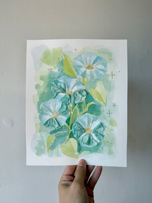 Morning Glories