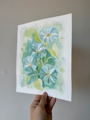 Morning Glories