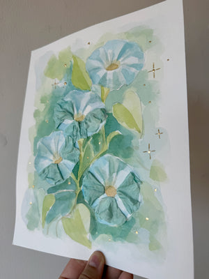 Morning Glories