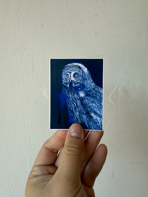 Blue Owl Sticker