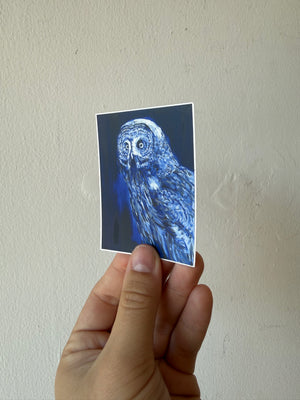 Blue Owl Sticker