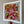 Stargazer Fine Art Print