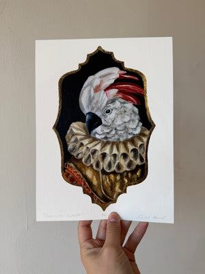 Prince Cassius the Cockatoo Fine Art Print