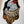 Prince Cassius the Cockatoo Fine Art Print