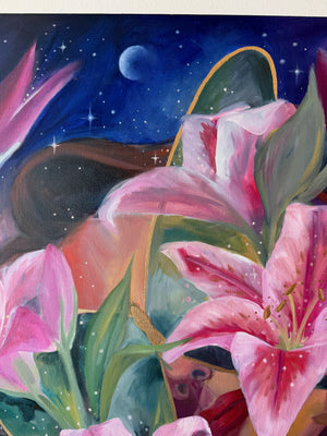 Stargazer
