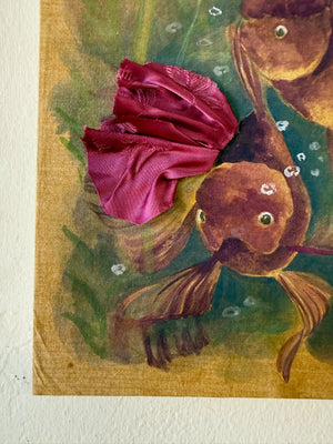 Oranda Study