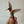 Ruby-Throated Hummingbird Magnet