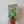Froggy Friends Magnet