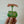 Froggy Friends Magnet
