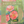 Botanicals Print Club