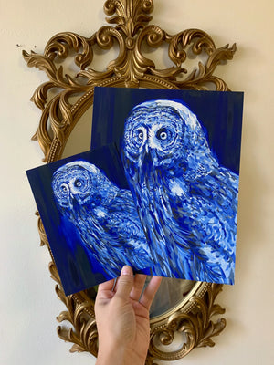 Gray Owl Print